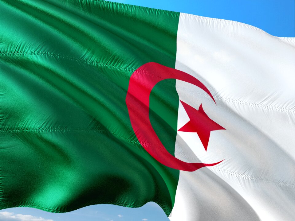 International flag algeria