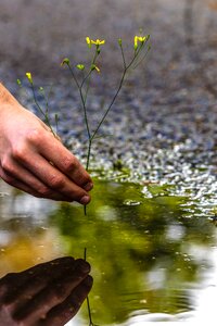 Hand water reflection photo