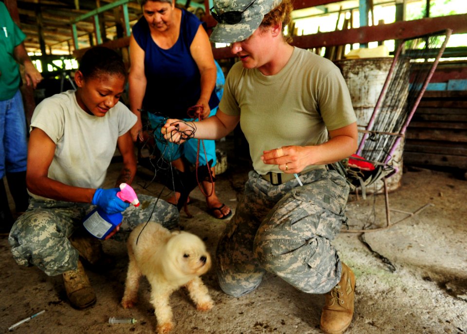 US Navy 100822-N-1531D-190 Army Maj. Heather Shuey-Burton, right, from Lenexa, Kan., and Pfc. Angela McCormick, from Sacramento, Calif., spray flea-removal on a dog during a veterinary visit to a local farm in Costa Rica