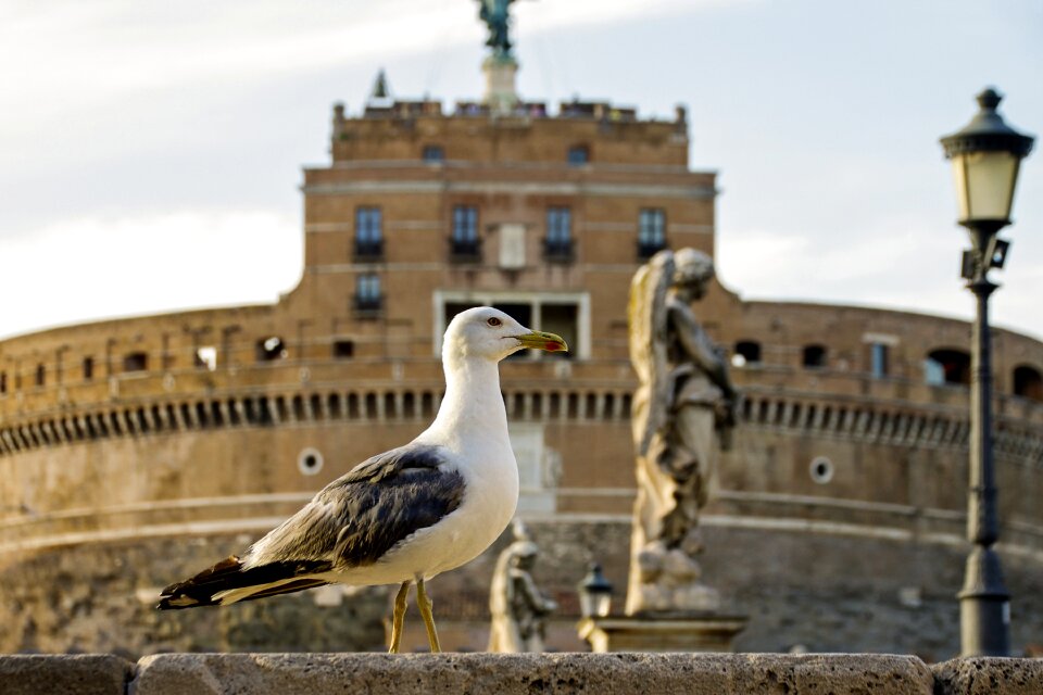 Italy capital castle
