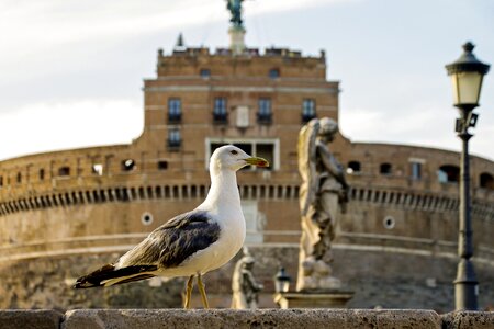 Italy capital castle