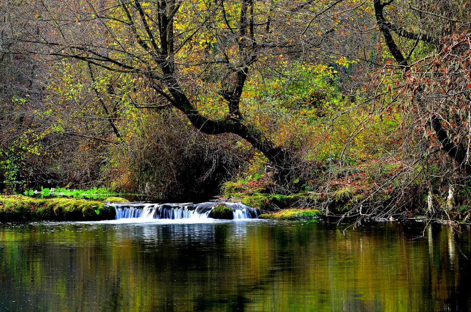 Forest waterfall water