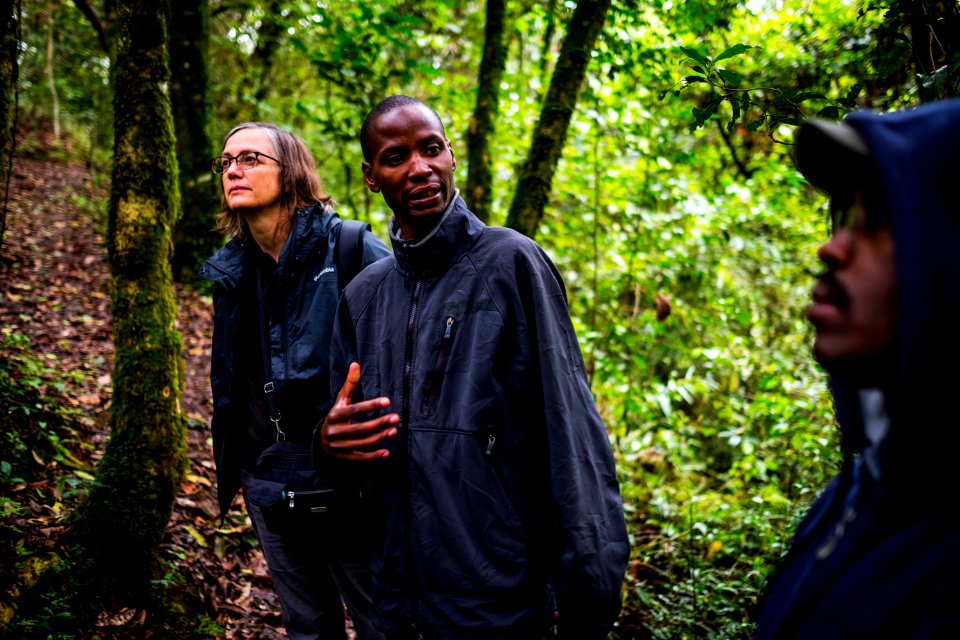 USAID Measuring Impact Conservation Enterprise Retrospective (Uganda; International Gorilla Conservation Program) (39582153364)
