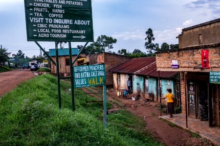 USAID Measuring Impact Conservation Enterprise Retrospective (Uganda; International Gorilla Conservation Program) (39396471655)