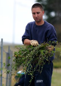 US Navy 100910-N-9520G-004 Chief Air Traffic Controller (Sel.) Jeff Barkley picks up overgrown weeds during the annual cleaning and inspection of t
