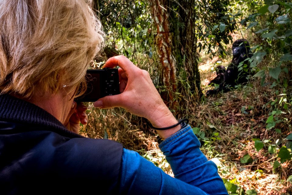 USAID Measuring Impact Conservation Enterprise Retrospective (Uganda; International Gorilla Conservation Program) (39396360375)