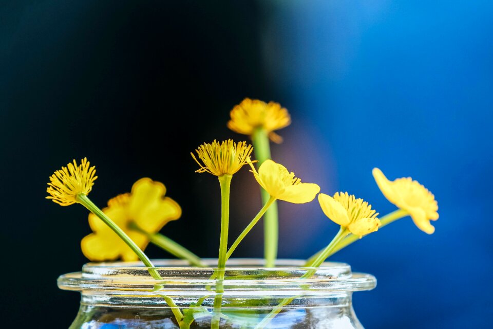 Floral summer grass