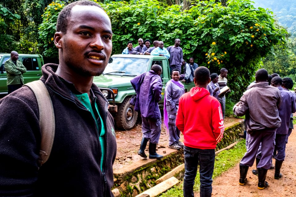 USAID Measuring Impact Conservation Enterprise Retrospective (Uganda; International Gorilla Conservation Program) (38484046080)