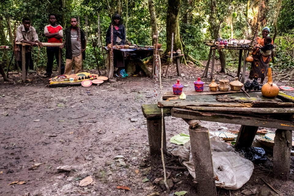 USAID Measuring Impact Conservation Enterprise Retrospective (Uganda; International Gorilla Conservation Program) (39396466225)