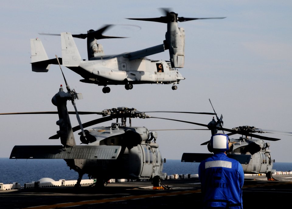 US Navy 101018-N-7508R-018 An Aviation Boatswain's Mate (Handling) observes an MV-22B Osprey assigned to Marine Medium Tiltrotor Squadron (VMM) 263