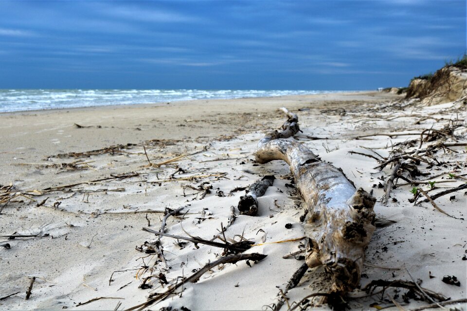 Sea seashore outdoors