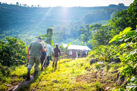 USAID Measuring Impact Conservation Enterprise Retrospective (Uganda; International Gorilla Conservation Program) (25422585587)