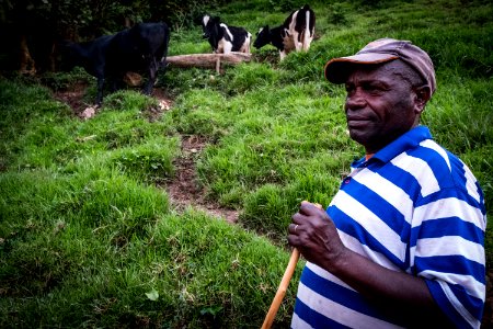 USAID Measuring Impact Conservation Enterprise Retrospective (Uganda; International Gorilla Conservation Program) (25422556797)