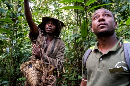 USAID Measuring Impact Conservation Enterprise Retrospective (Uganda; International Gorilla Conservation Program) (25422675777)