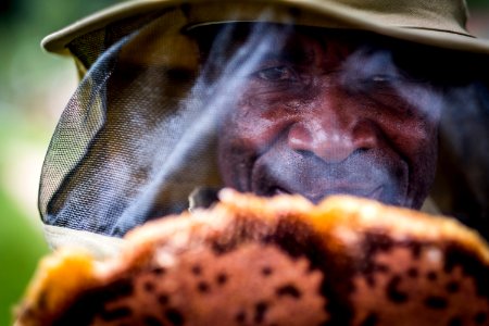 USAID Measuring Impact Conservation Enterprise Retrospective (Uganda; International Gorilla Conservation Program) (25422435387)