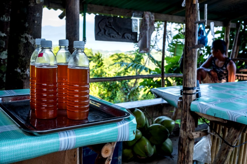 USAID Measuring Impact Conservation Enterprise Retrospective (Philippines; Nagkakaisang Tribu ng Palawan) (40293452091)