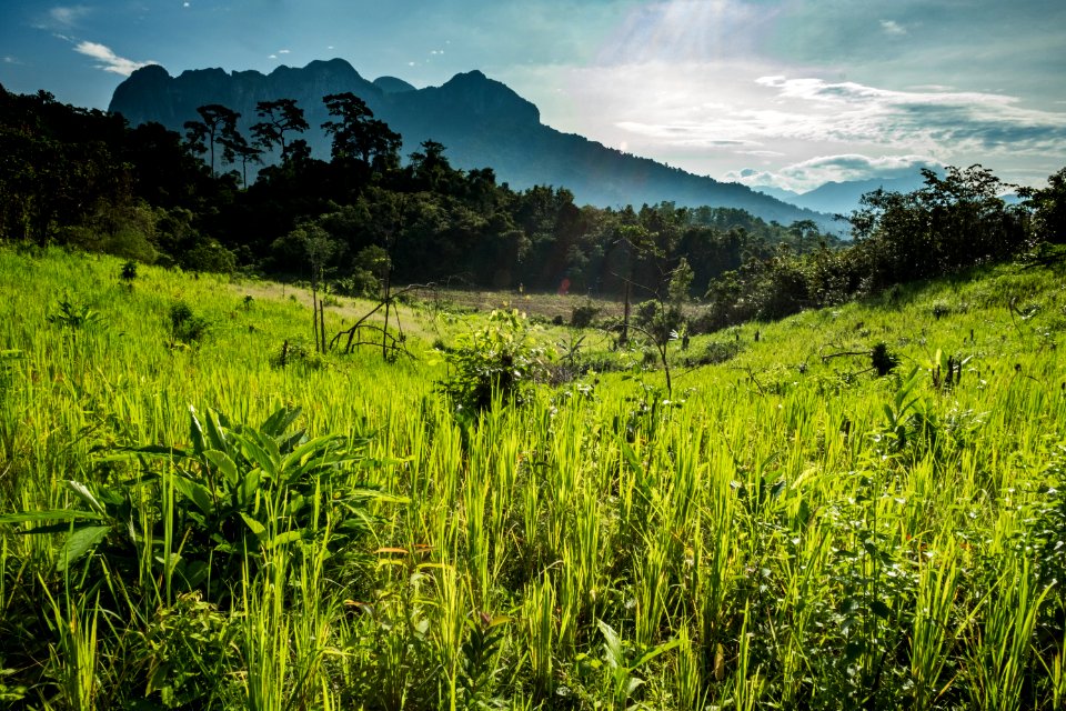 USAID Measuring Impact Conservation Enterprise Retrospective (Philippines; Nagkakaisang Tribu ng Palawan) (40293311381)