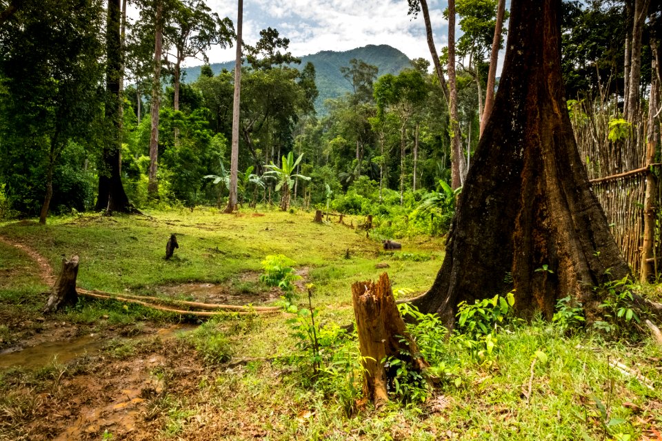 USAID Measuring Impact Conservation Enterprise Retrospective (Philippines; Nagkakaisang Tribu ng Palawan) (40293258621)