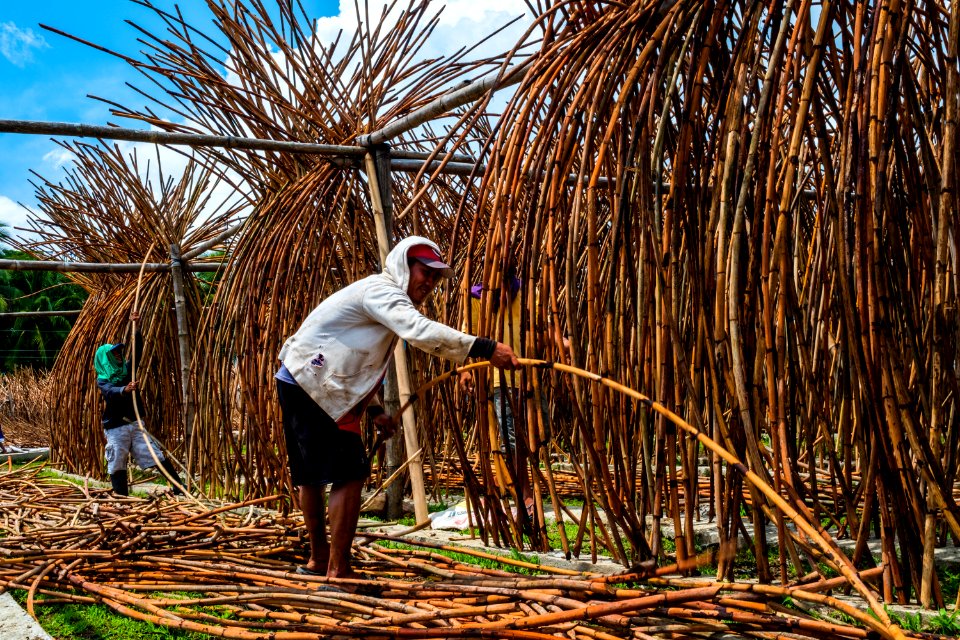 USAID Measuring Impact Conservation Enterprise Retrospective (Philippines; Nagkakaisang Tribu ng Palawan) (40293109451)