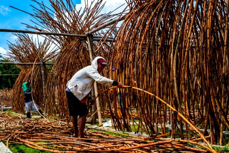 USAID Measuring Impact Conservation Enterprise Retrospective (Philippines; Nagkakaisang Tribu ng Palawan) (40293109451)