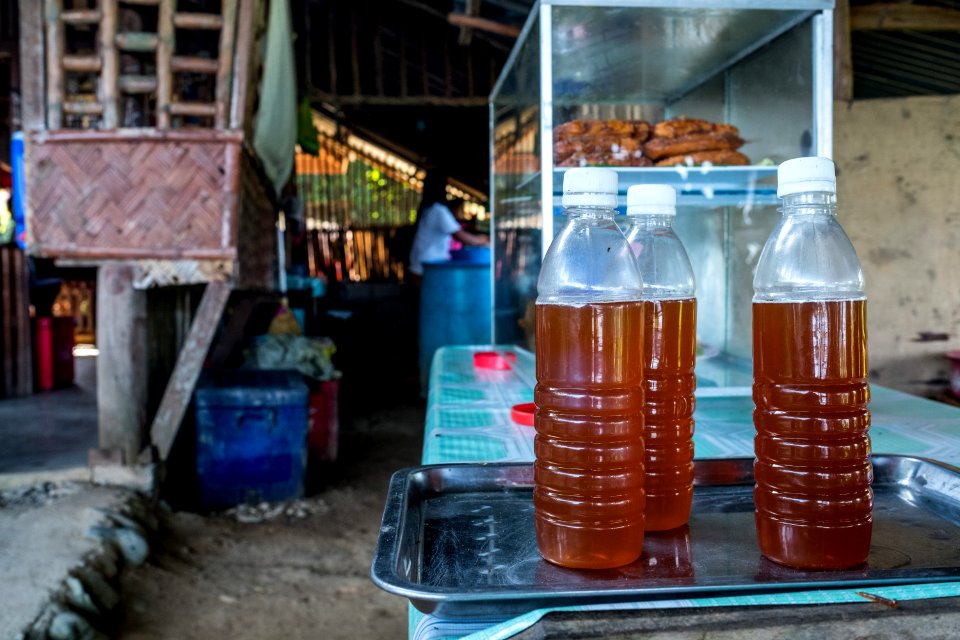 USAID Measuring Impact Conservation Enterprise Retrospective (Philippines; Nagkakaisang Tribu ng Palawan) (40248224612)