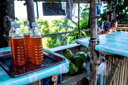 USAID Measuring Impact Conservation Enterprise Retrospective (Philippines; Nagkakaisang Tribu ng Palawan) (40248226342)