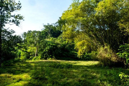 USAID Measuring Impact Conservation Enterprise Retrospective (Philippines; Nagkakaisang Tribu ng Palawan) (40293308921)