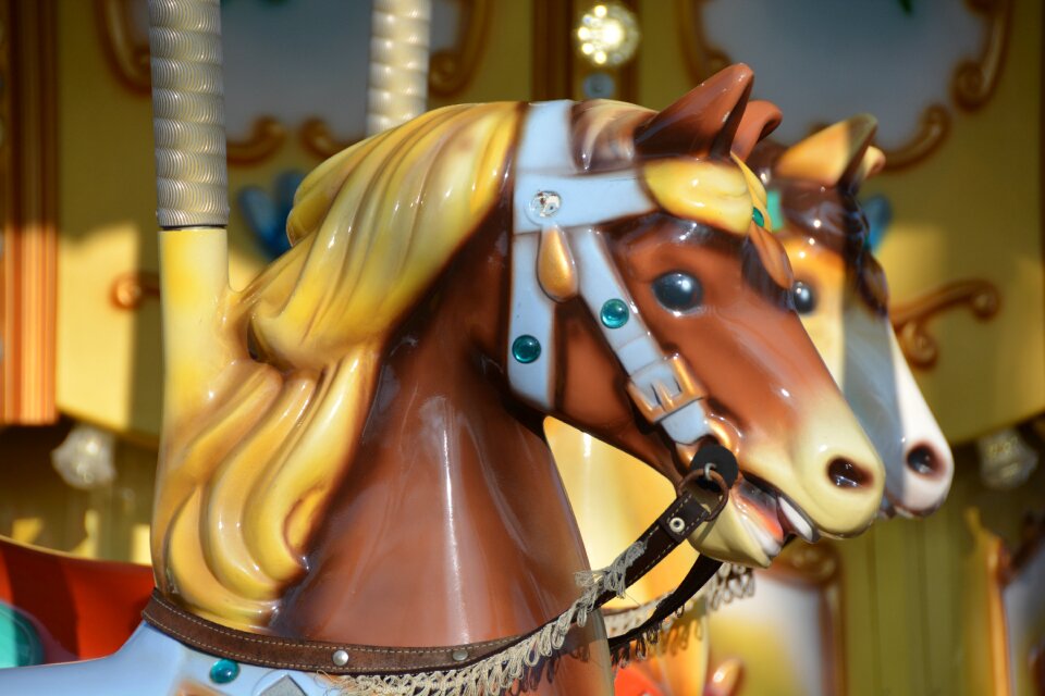 Manege carousel animal