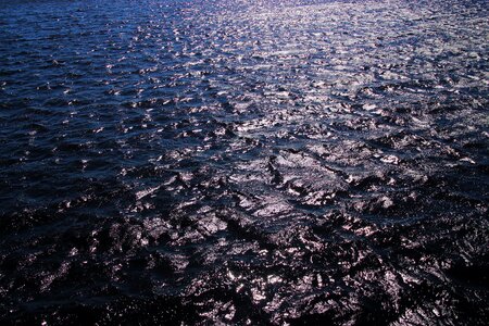 Nature blue summer