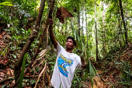 USAID Measuring Impact Conservation Enterprise Retrospective (Philippines; Nagkakaisang Tribu ng Palawan) (40248141052)