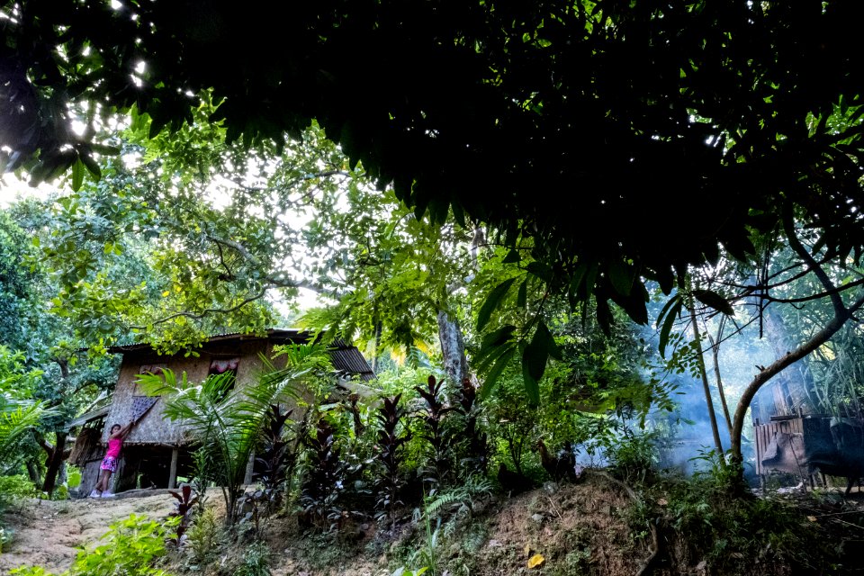 USAID Measuring Impact Conservation Enterprise Retrospective (Philippines; Nagkakaisang Tribu ng Palawan) (40248045382)