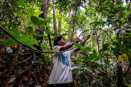 USAID Measuring Impact Conservation Enterprise Retrospective (Philippines; Nagkakaisang Tribu ng Palawan) (40248127102)