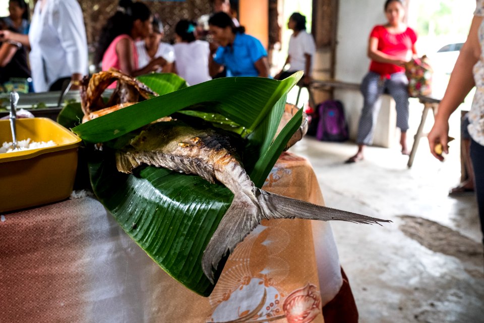 USAID Measuring Impact Conservation Enterprise Retrospective (Philippines; Nagkakaisang Tribu ng Palawan) (40247927772)