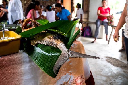 USAID Measuring Impact Conservation Enterprise Retrospective (Philippines; Nagkakaisang Tribu ng Palawan) (40247927772)