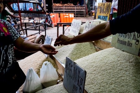 USAID Measuring Impact Conservation Enterprise Retrospective (Philippines; Nagkakaisang Tribu ng Palawan) (40247943262)