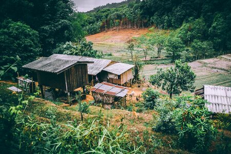 Crops plants rural