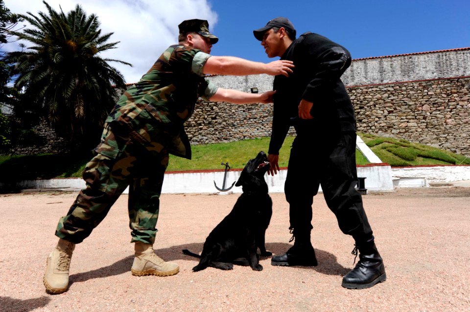 US Navy 101108-N-8546L-677 Master-at-Arms 1st Class Jonathan Upton, left, a U.S. Navy military working dog handler from Jacksonville, Ala