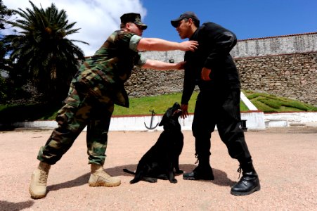 US Navy 101108-N-8546L-677 Master-at-Arms 1st Class Jonathan Upton, left, a U.S. Navy military working dog handler from Jacksonville, Ala photo