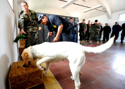 US Navy 101108-N-8546L-040 Chief Master-at-Arms Nick Estrada, left, a U.S. Navy military working dog handler from Orange, Calif photo