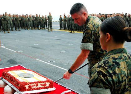 US Navy 101110-N-2218S-043 Col. Andrew MacMannis, commanding officer of the 31st Marine Expeditionary Unit (31st MEU),