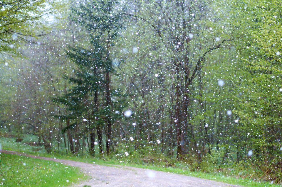 Background snow winter