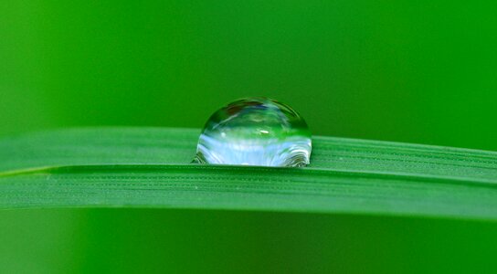 Rain nature wet photo