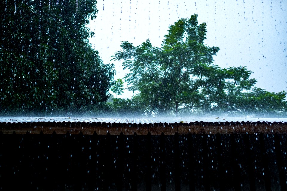 USAID Measuring Impact Conservation Enterprise Retrospective (Philippines; Nagkakaisang Tribu ng Palawan) (39581418074)