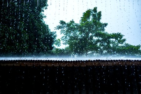 USAID Measuring Impact Conservation Enterprise Retrospective (Philippines; Nagkakaisang Tribu ng Palawan) (39581418074)
