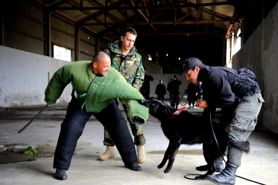 US Navy 101117-N-8546L-899 U.S. Navy Chief Master-at-Arms Nick Estrada, second from left, a military working dog handler from Orange, Calif