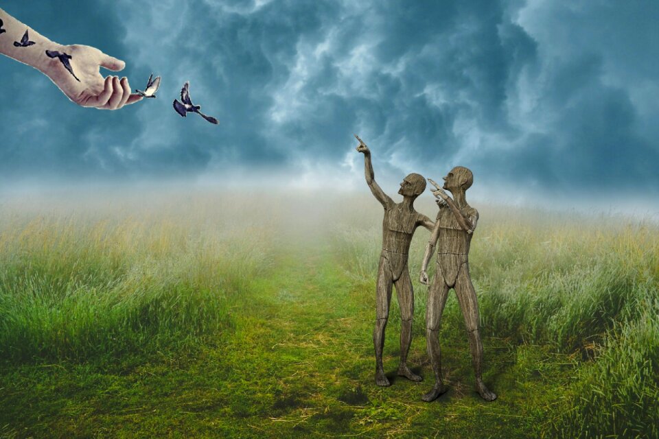 Haymaking freedom summer