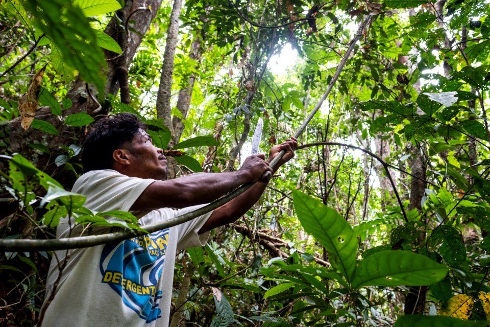 USAID Measuring Impact Conservation Enterprise Retrospective (Philippines; Nagkakaisang Tribu ng Palawan) (39395897115)