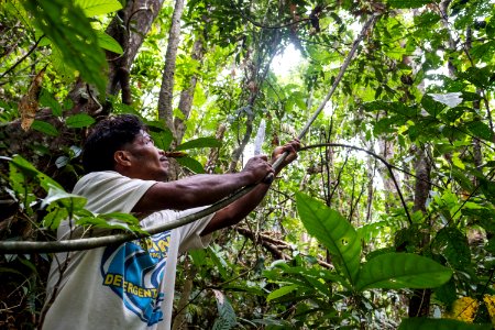 USAID Measuring Impact Conservation Enterprise Retrospective (Philippines; Nagkakaisang Tribu ng Palawan) (39395897115)