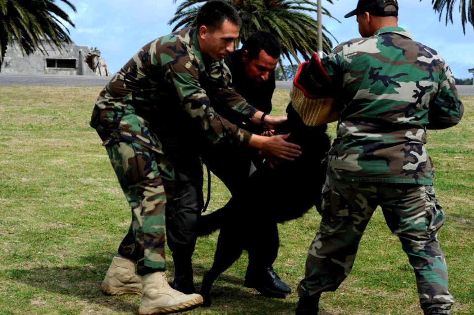 US Navy 101117-N-8546L-088 U.S. Navy Chief Master-at-Arms Nick Estrada, left, a military working dog handler from Orange, Calif
