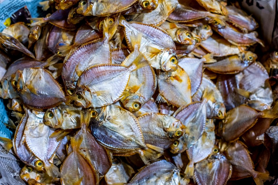 USAID Measuring Impact Conservation Enterprise Retrospective (Philippines; Nagkakaisang Tribu ng Palawan) (39581356834)